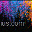 Logo IFRSenius